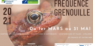 fréquence grenouille