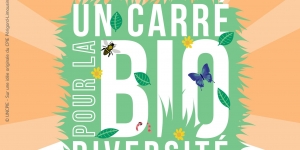 Un carré pour la biodiversité