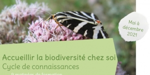 Accueillir la biodiversité chez soi 