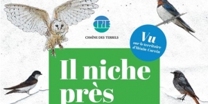 oiseaux nicheurs