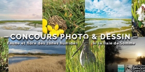 Concours photo et dessin