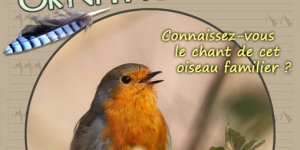 formation ornithologique