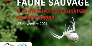 8e conférence régionale faune sauvage