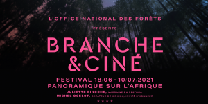 Branche & ciné