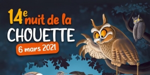 La nuit de la chouette