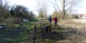 Chantier de plantation d'arbres