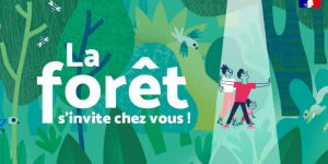 La forêt s'invite chez vous