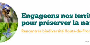 Image de l'événement : Engageons nos territoires pour préserver la nature ! Rencontres biodiversité Hauts-de-France