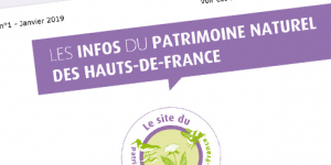 Aperçu Newsletter n°1 du Site du patrimoine naturel HdF