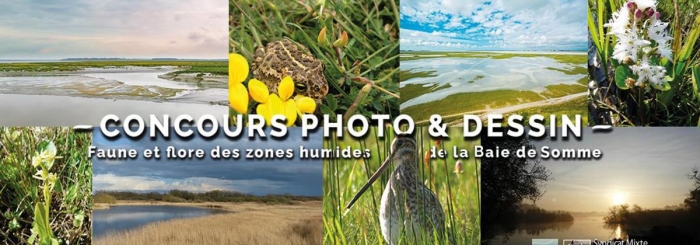 Concours photo et dessin