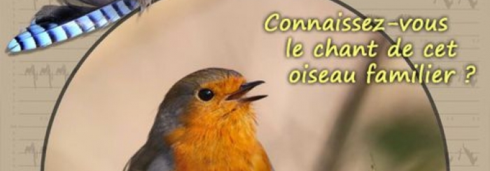 formation ornithologique