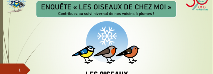 Enquête les oiseaux de chez moi