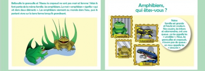 Je découvre les grenouilles et crapauds de ma région