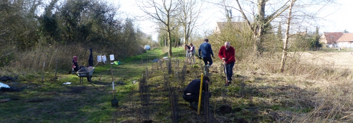 Chantier nature de plantation