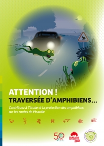 Attention, traversé d'Amphibien