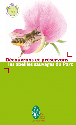 Couv-livret découverte abeilles