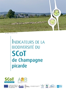 scot champagne picarde